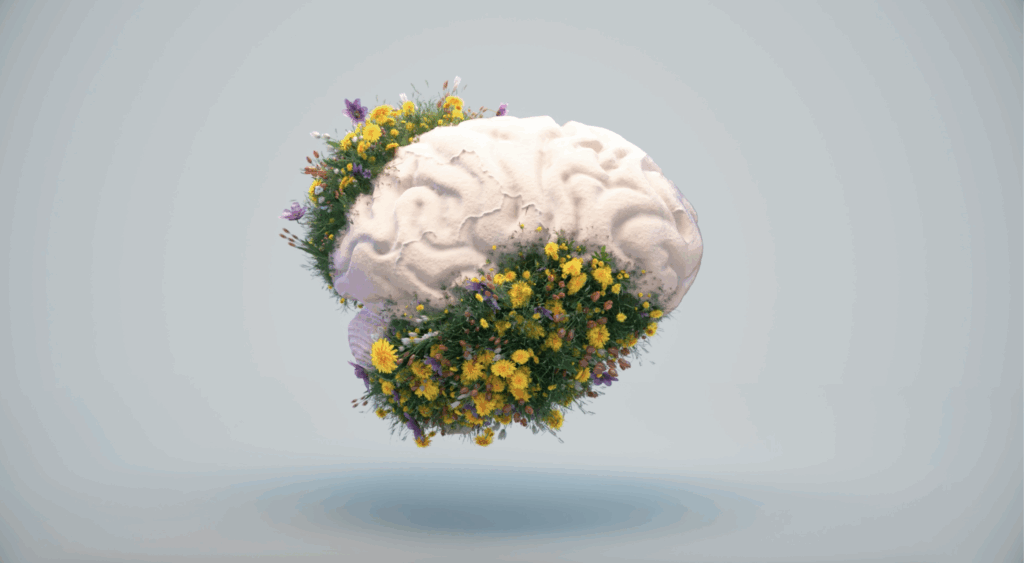 Bilişsel Çarpıtmalar: Gerçeği Nasıl Yanıltırız?